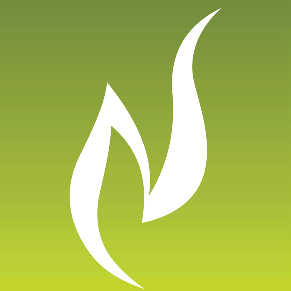 Nambiar Builders logo